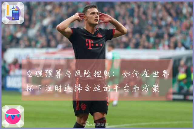 合理预算与风险控制：如何在世界杯下注时选择合适的平台和方案