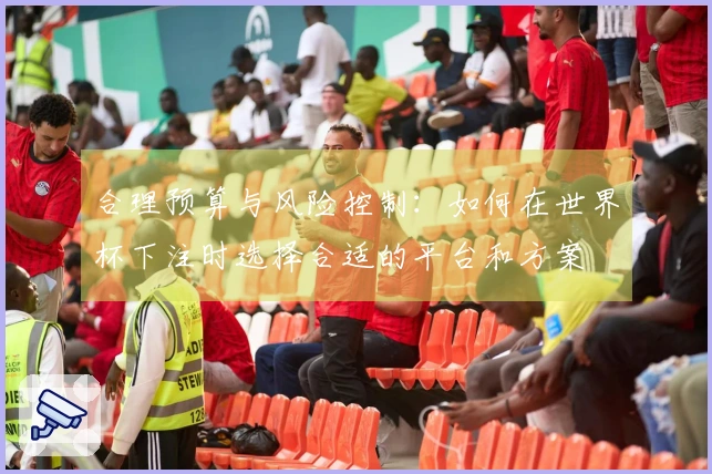 合理预算与风险控制：如何在世界杯下注时选择合适的平台和方案